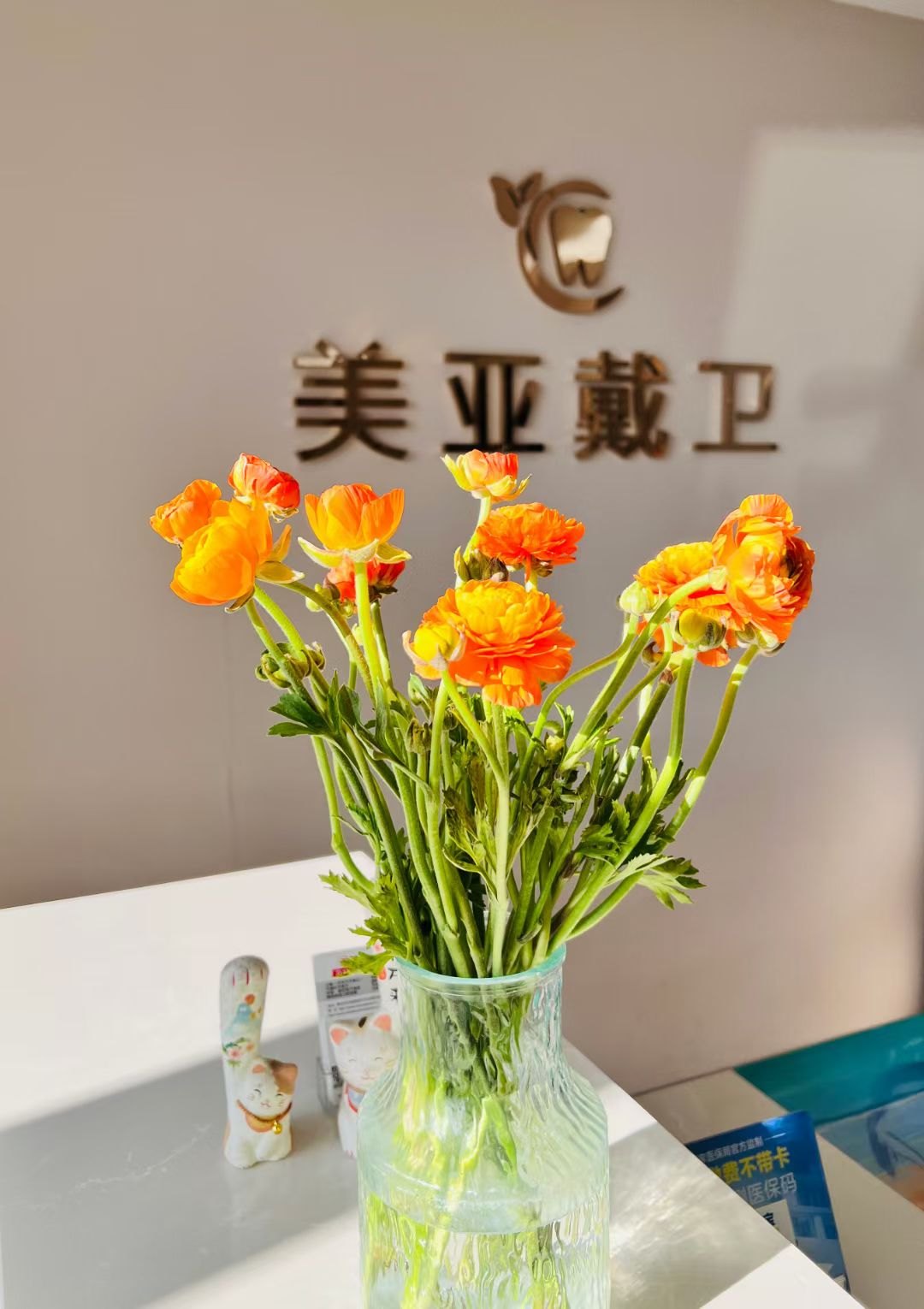 美亚戴卫齿科前台的鲜花与品牌标识
